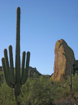 Saguaro and spire
