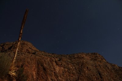 Agave, a cliff, and Cassiopeia