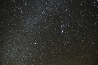 Orion, Canis Major, and the Winter Milky Way