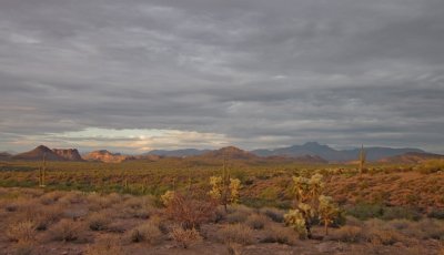 Desert panorama