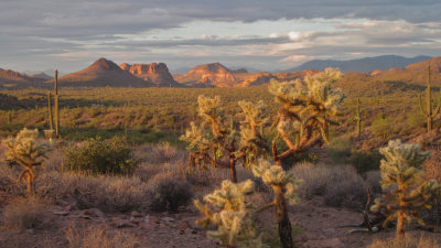 Desert panorama 2