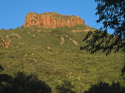 Trail 160 in the Sierra Ancha Wilderness