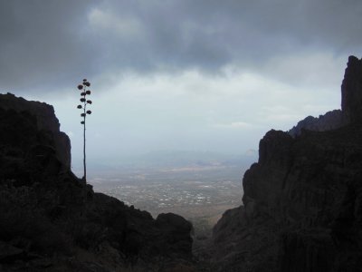 View back towards trailhead