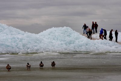 Drifting Ice 2012