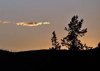 Yellowstone sunset