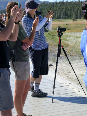boardwalk paparazzi