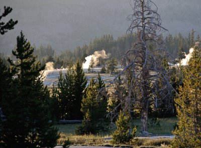 morning near old failthful