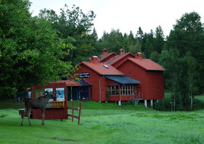 Elk and its museum