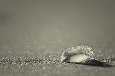 Feather