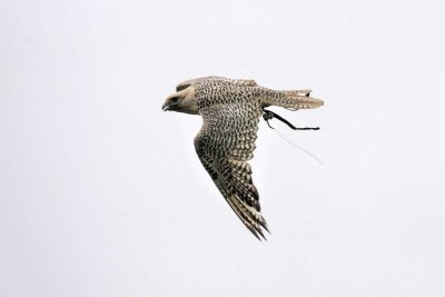 8-1-Monday_099+.jpg