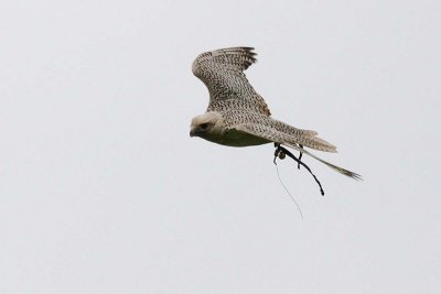 8-1-Monday_105+.jpg