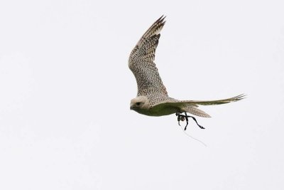 8-1-Monday_106+.jpg