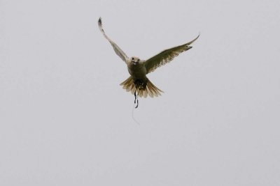8-1-Monday_113+.jpg
