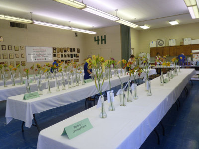 nwgds-show01.jpg