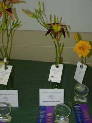nwgds-show21.jpg