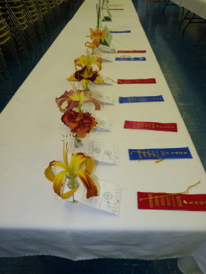 Daylily Exhibition and Show, June 16, 2012