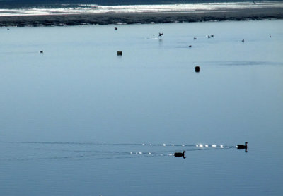  A quiet day on the water