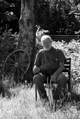 Dave, Dreaming in the Long Grass