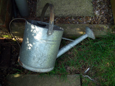 When in Drought (!) - use watering can