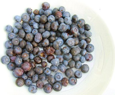 Berries on the turn on a white plate