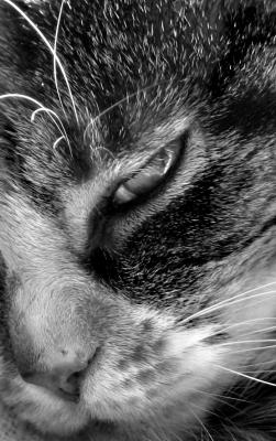 Ive got my eye on you