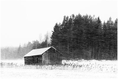 barn in a blizzard