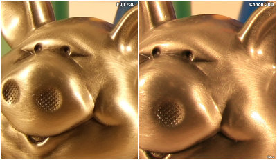 Arn__F30_test_vs_Canon_30D_hilights_pig_face_800x_jpg10.jpg