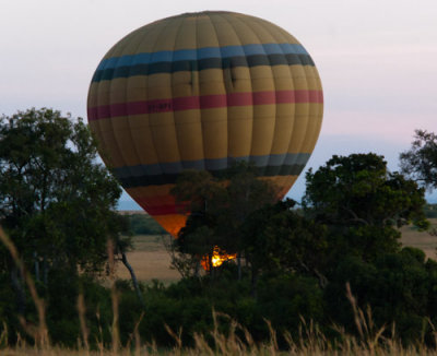 Masai Mara Balloon.jpg