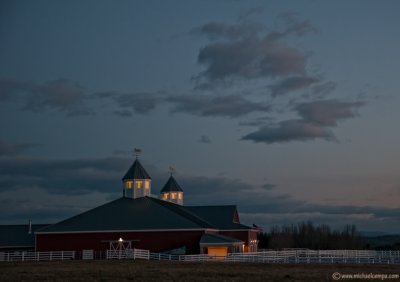 Pineland Dawn (4/27)