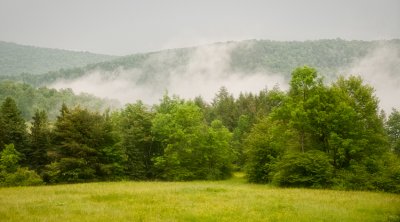 Mountain Steam (6/9)