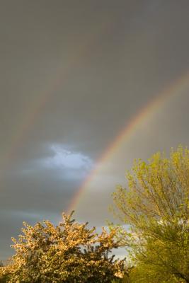 Friendly Rainbow