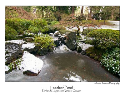 Laceleaf Pond.jpg