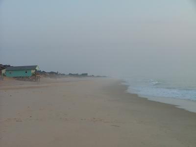 Fog on the shore