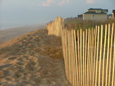Holding back the beach