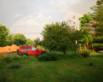 poststorm.jpg