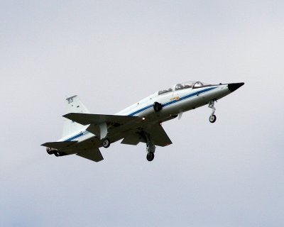 t38_1.jpg