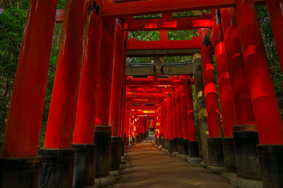 Fushimi Inari path