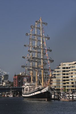 Russian Training Vessel  Pallada  -  DSC_1404.jpg