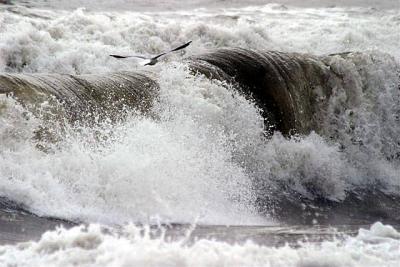 Seascapes