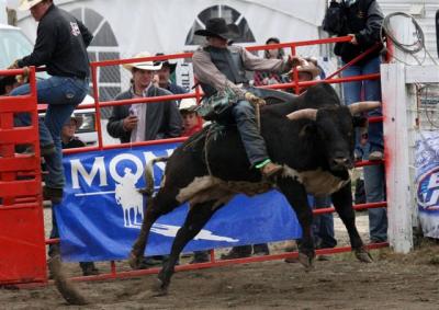 Luxton Rodeo 2006