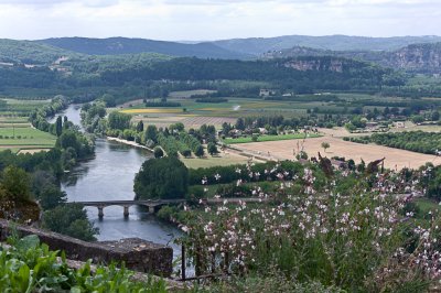 K7005547.jpg