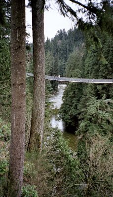 Capilano