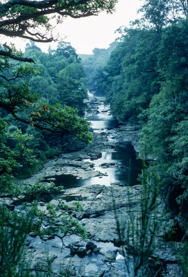 Clyde @ New Lanark