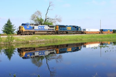 Lots of water standing around in Indiana this spring. Making the most of this puddle as L121 flies by near Essex south of Vincennes