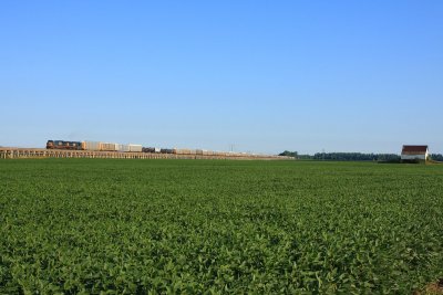 SB train spread out on the Ohio River approach south of Evansville