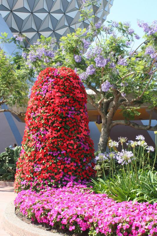 Epcot Flowers