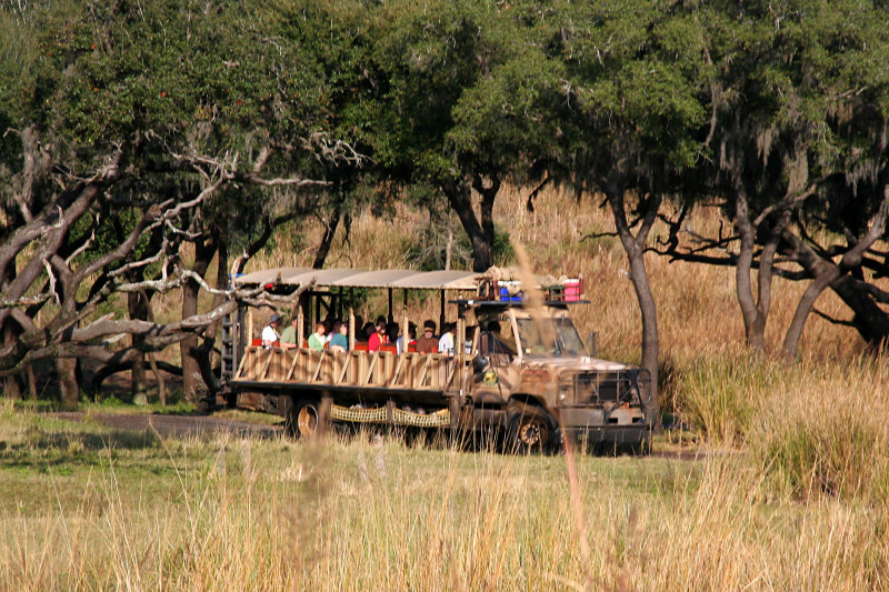 Safari Vehicle