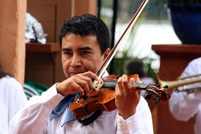 Mariachi Cobre Violinist