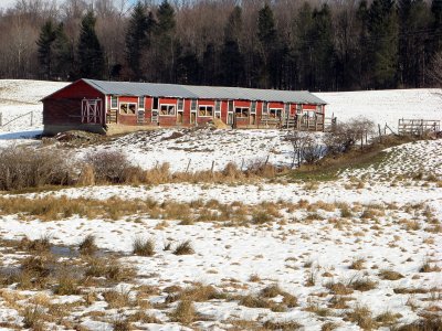 Snowy Field and Barn