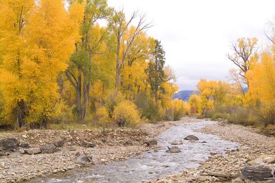 AOct1105014.jpg